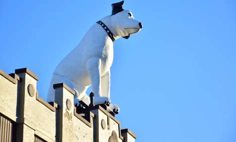 Copy of Nipper