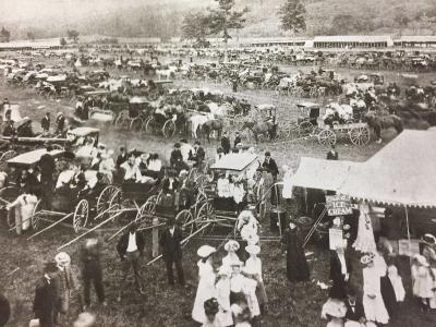 Altamont Fairgrounds Old