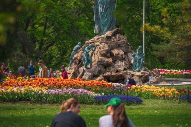 Tulip Festival