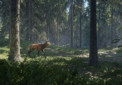  TheHunter: Call of the Wild - Un Immersivo Simulatore di Caccia con un Mondo Aperto Immenso!